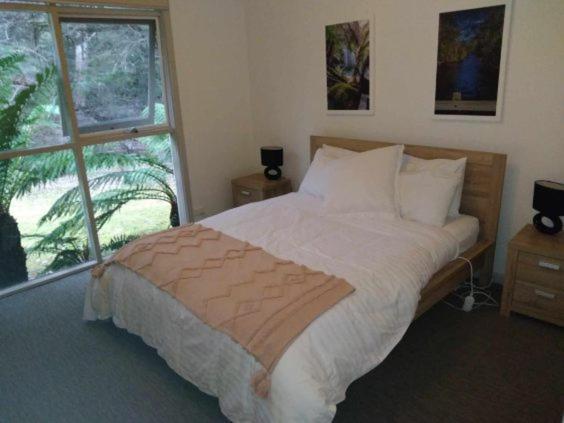 Russell Falls Holiday Cottages National Park Εξωτερικό φωτογραφία