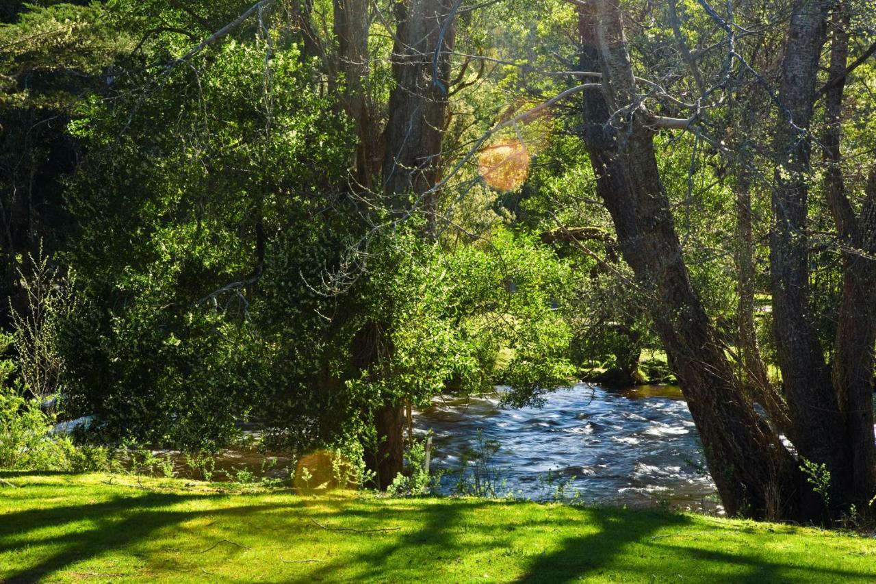 Russell Falls Holiday Cottages National Park Εξωτερικό φωτογραφία