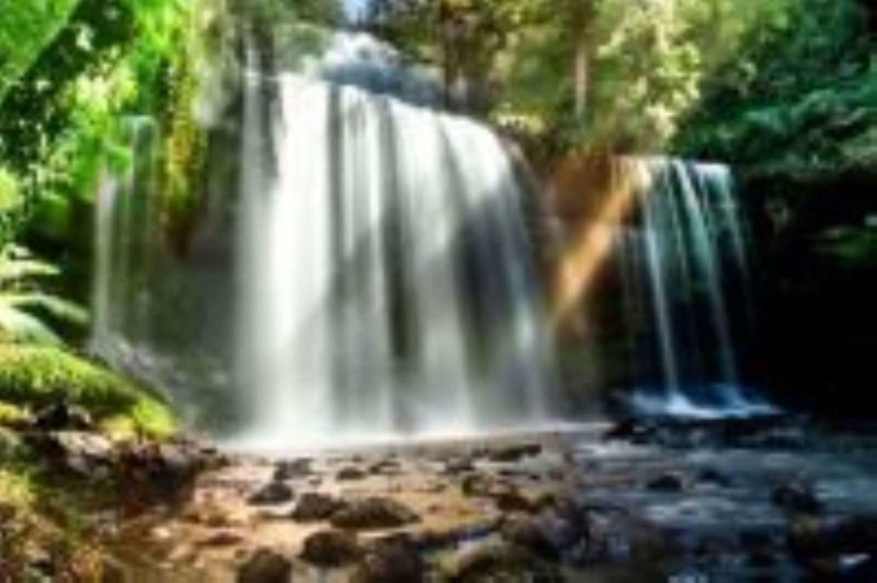 Russell Falls Holiday Cottages National Park Εξωτερικό φωτογραφία