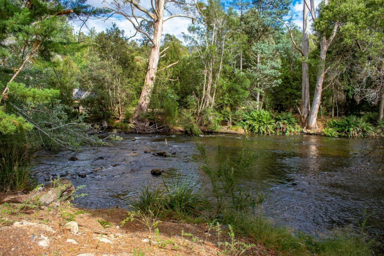 Russell Falls Holiday Cottages National Park Εξωτερικό φωτογραφία